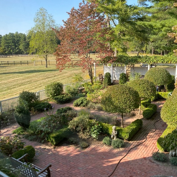 Meet your Posher, Ali - Picture 10 of 12